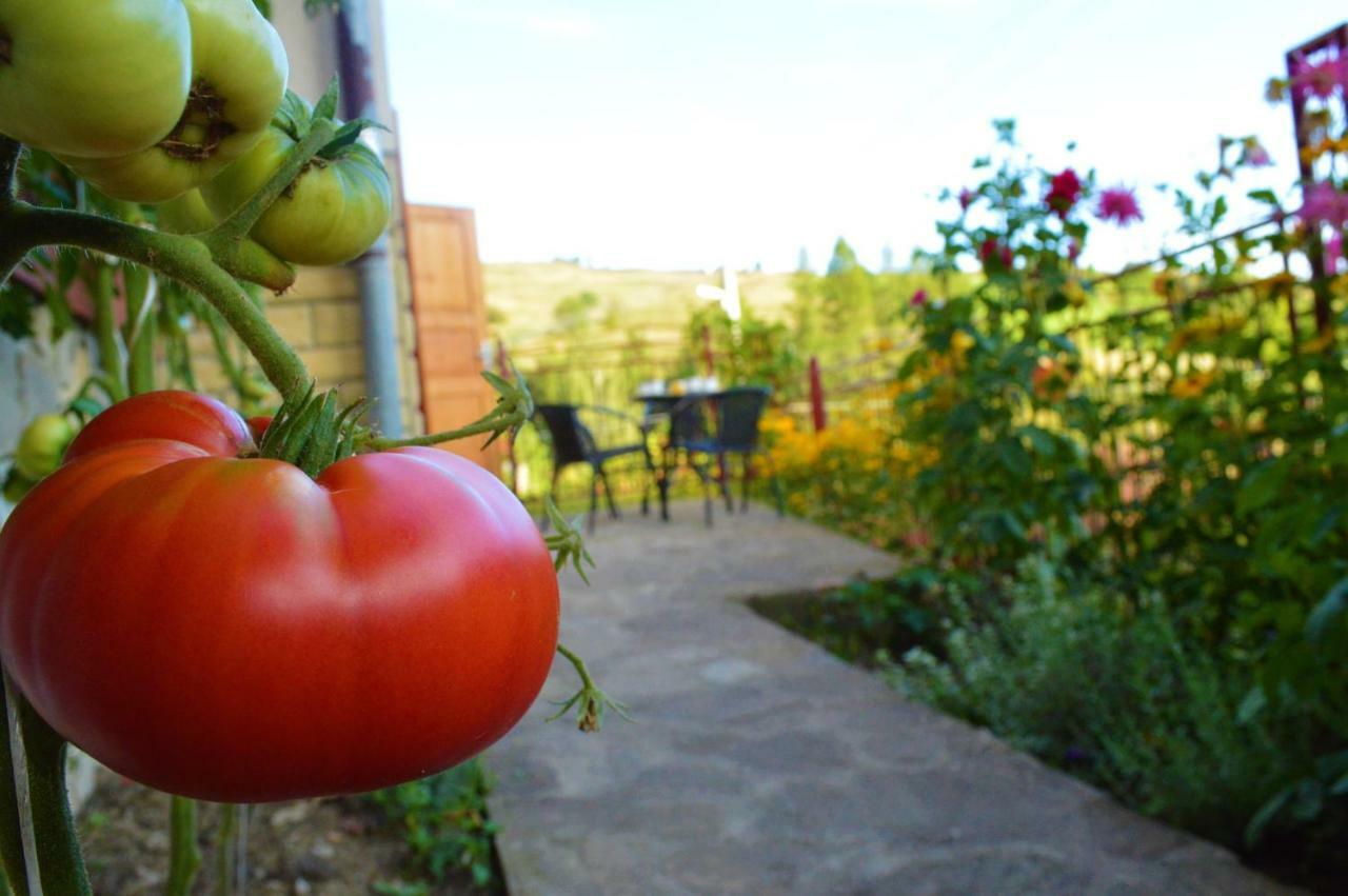 Apartmány LÍVIA Litmanová Esterno foto
